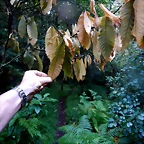 DSCN8456
