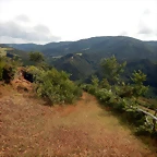 DSCN4389