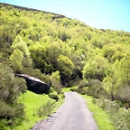 DSCN8525
