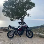 Z6