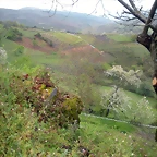 DSCN3851