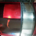 20180225_022752