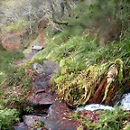 DSCN0666