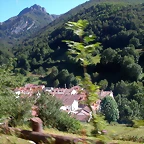 DSCN4384
