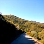 DSCN7778