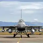 f16_large