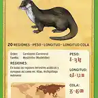 nutria europea