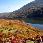 DSCN4637
