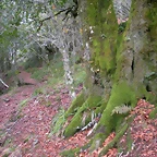 DSCN0674