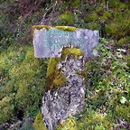 DSCN8953