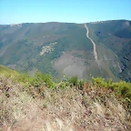 DSCN6994
