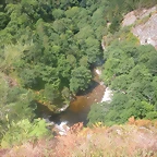 DSCN2509