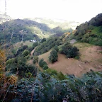 DSCN9232