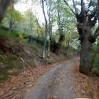 DSCN8546
