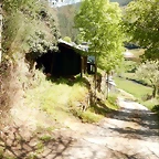 DSCN4540