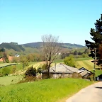 DSCN4938