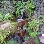 DSCN7246
