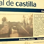 DSCN9545