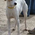 filemon1