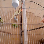 20200411_135202