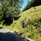 DSCN9199