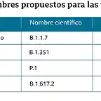 cepasC19-1