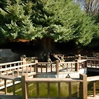 DSCN1544