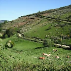 DSCF2484