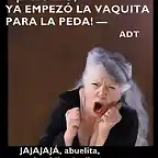 vieja gritando[4]