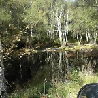 DSCN9771