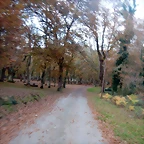 DSCN0744