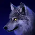 lobo