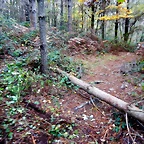 DSCN8987