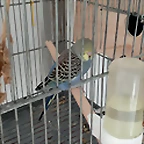 IMG_20250405_085451