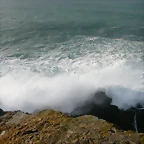 DSCN7585