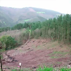 DSCN6292