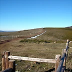 DSCN6795
