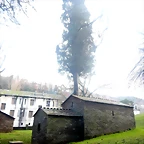 DSCN2403
