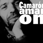 camarron amor on