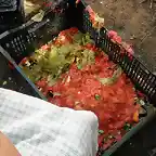005, pelando tomates 2