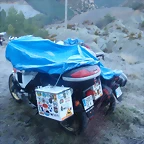 PC213804