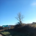DSCN2585