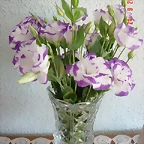 DSC04409