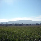 DSCN7750