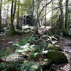 DSCN7920