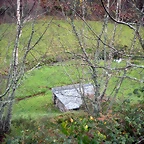 DSCN0982