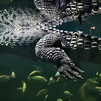 Zoo de Barcelona 03-04-11 148