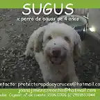 SUGUS Sevilla