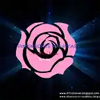 Dimensiones Malditas, la esfera y la rosa