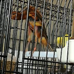 IMG_20170122_132637